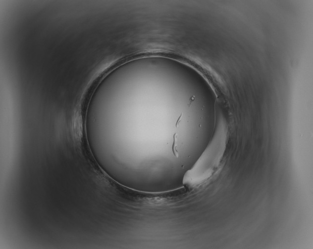 X0000102401317200808011538