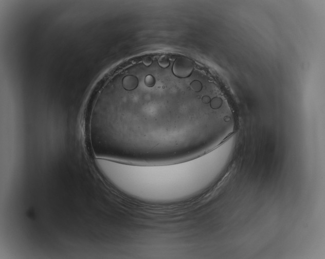 X0000102401318200808011538