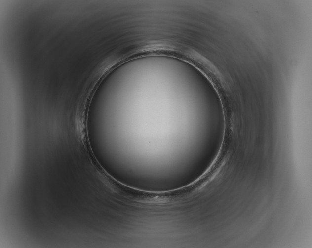 X0000102401321200808011538
