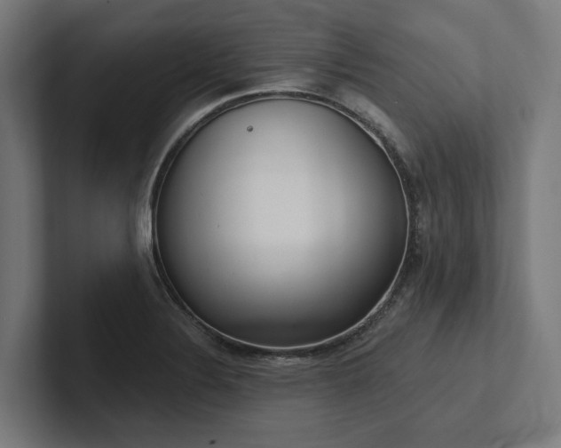 X0000102401324200808011538