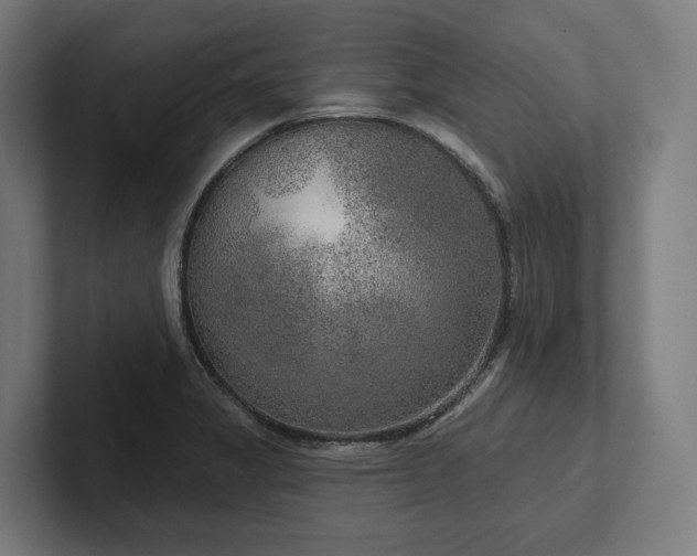 X0000102401325200808011538