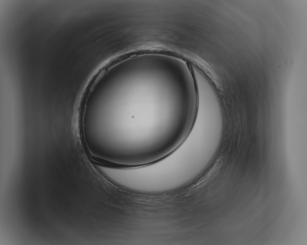 X0000102401326200808011539