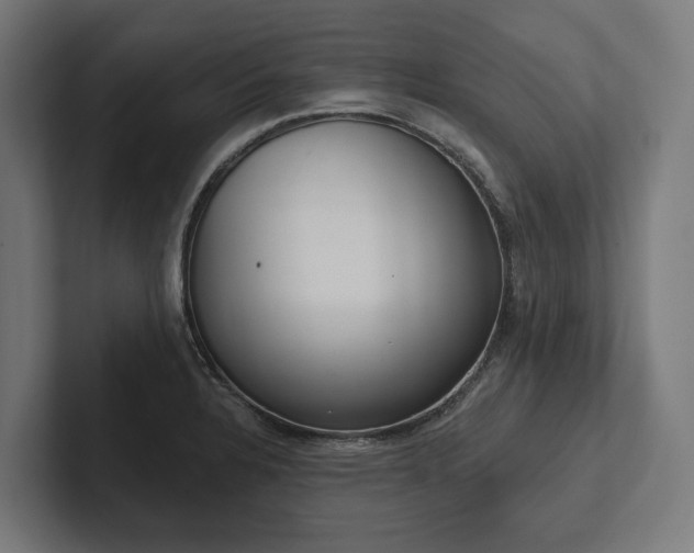 X0000102401328200808011539