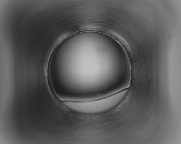 X0000102401330200808011539