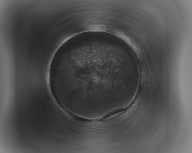 X0000102401331200808011539