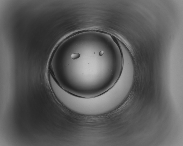 X0000102401332200808011539