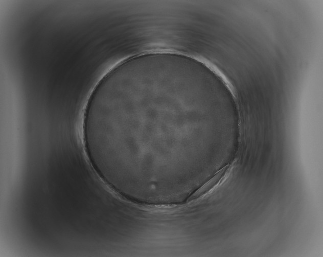 X0000102401333200808011539