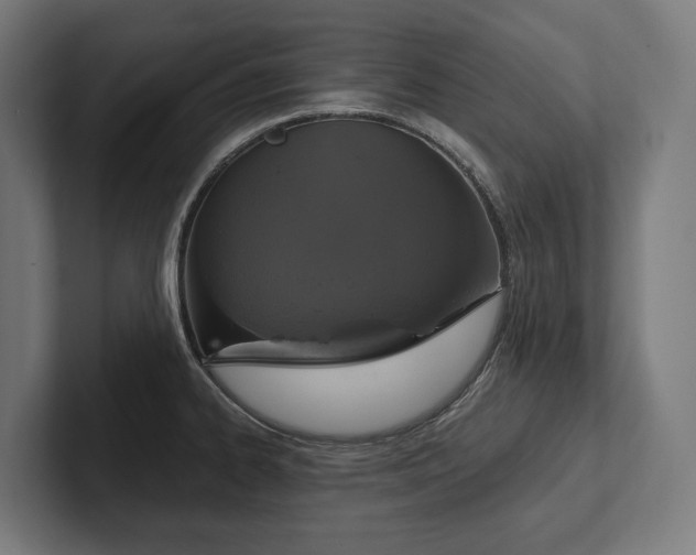 X0000102401334200808011539