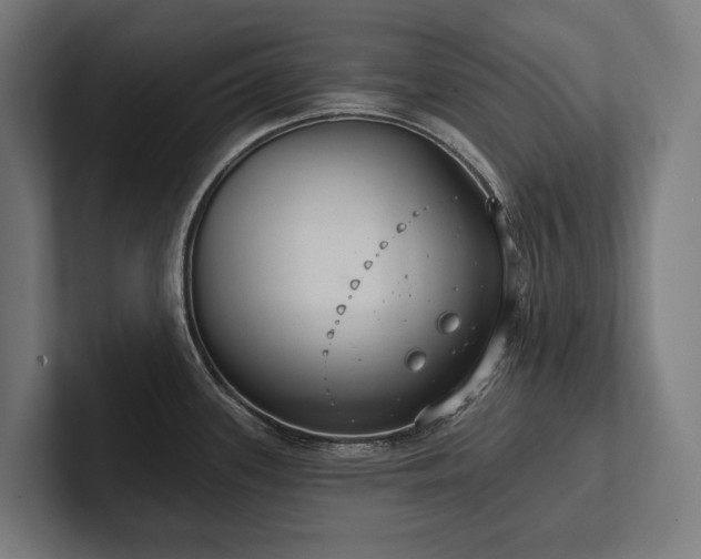 X0000102401339200808011539