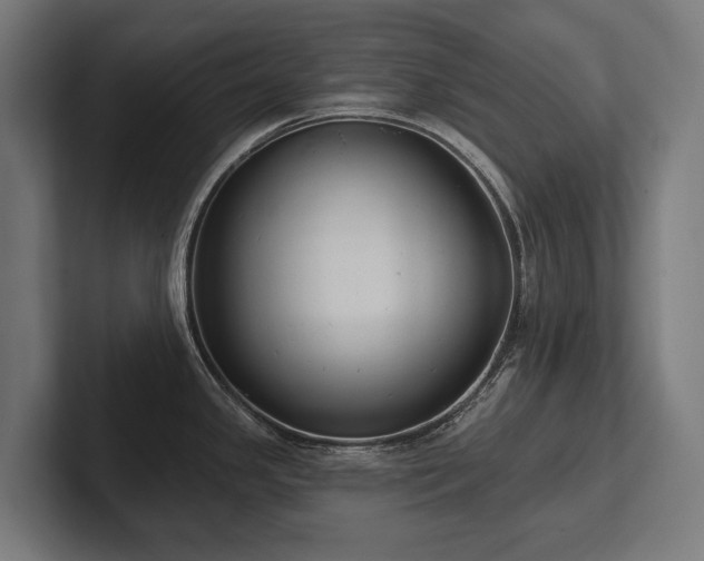X0000102401341200808011539