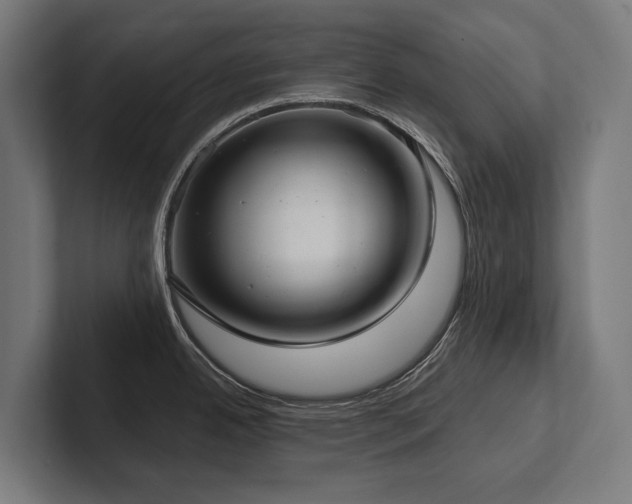X0000102401342200808011539
