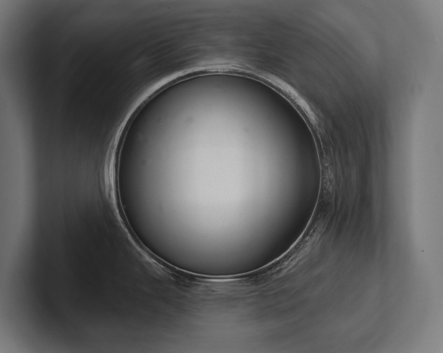 X0000102401343200808011539