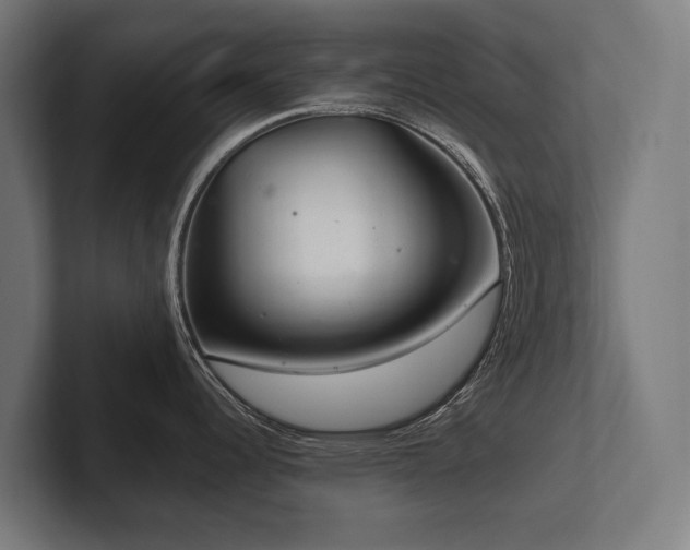 X0000102401344200808011539