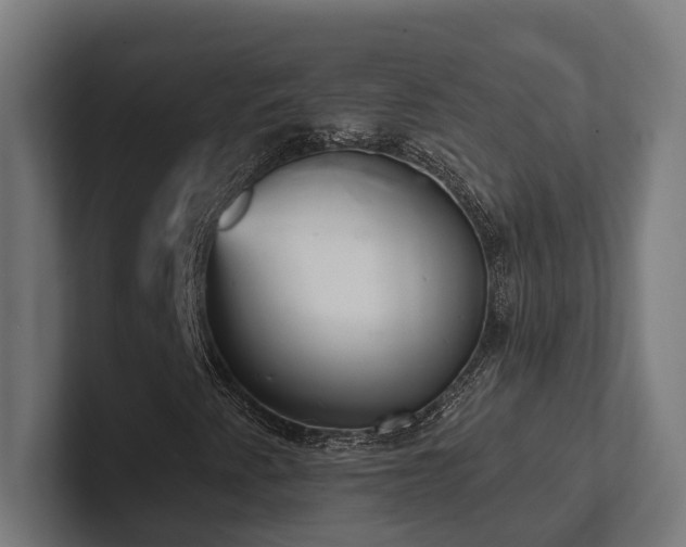 X0000102401345200808011538