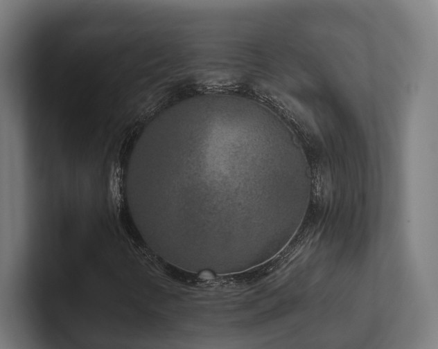 X0000102401346200808011538