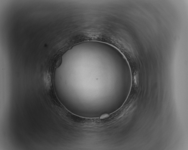X0000102401347200808011538