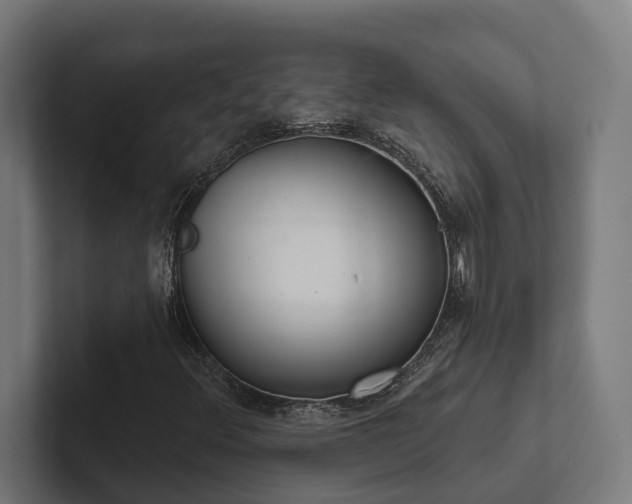 X0000102401348200808011538