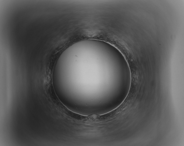 X0000102401349200808011538