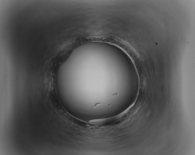 X0000102401350200808011538