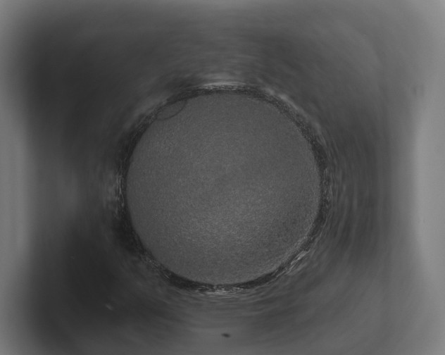 X0000102401351200808011538