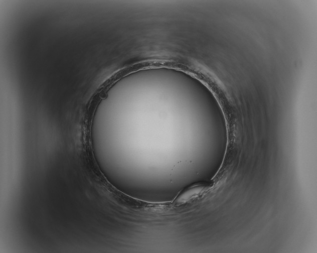 X0000102401352200808011538