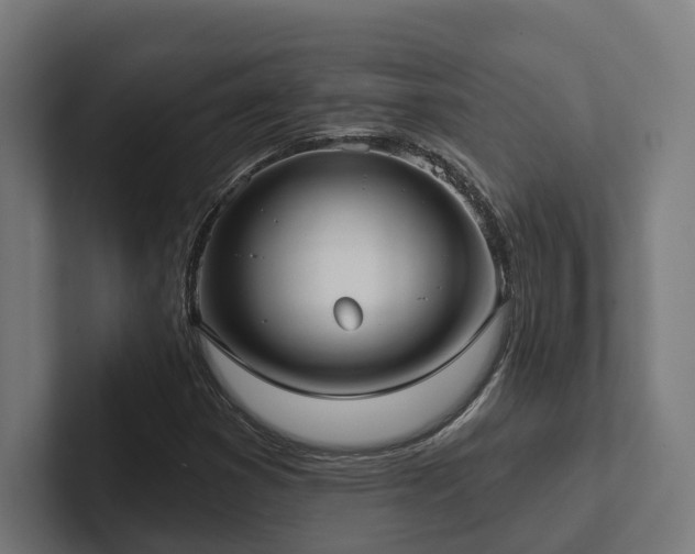 X0000102401353200808011538