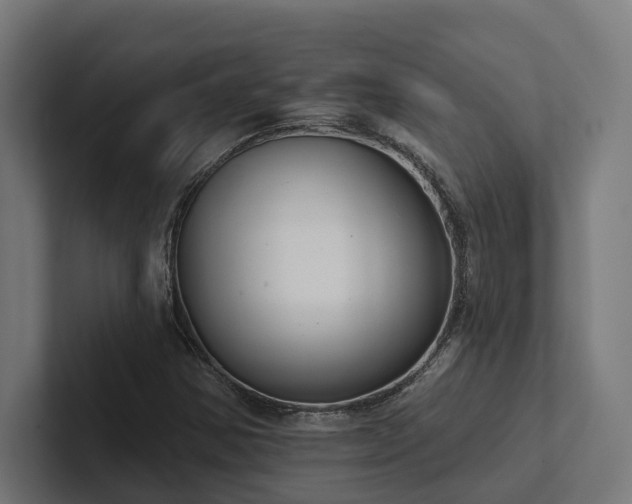 X0000102401354200808011538