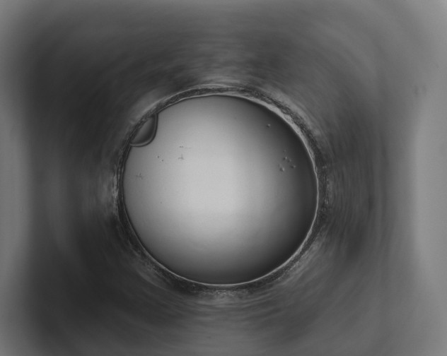 X0000102401355200808011538