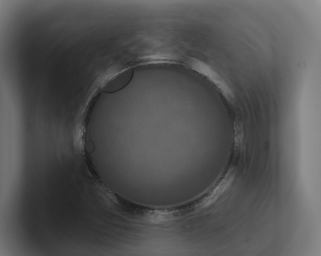 X0000102401357200808011538