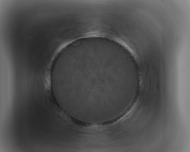 X0000102401358200808011538