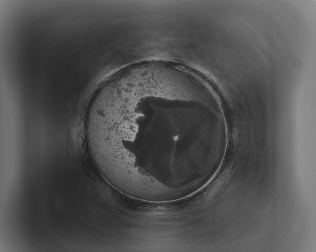 X0000102401359200808011538