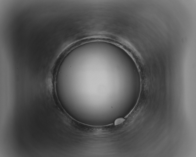 X0000102401360200808011538