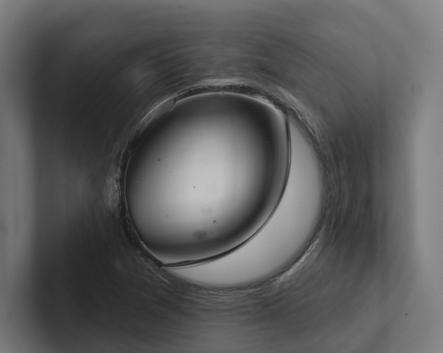 X0000102401361200808011538