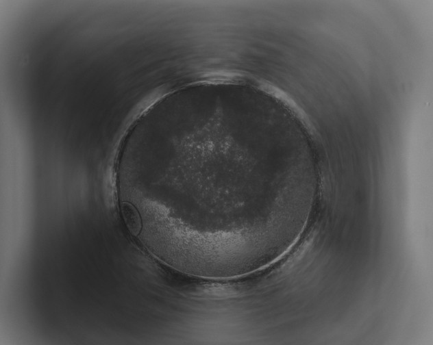 X0000102401362200808011538