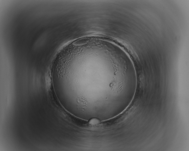 X0000102401363200808011538