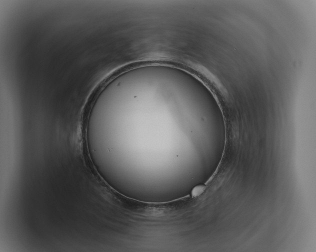 X0000102401364200808011538