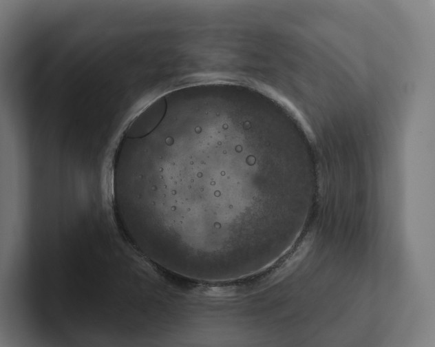 X0000102401365200808011538