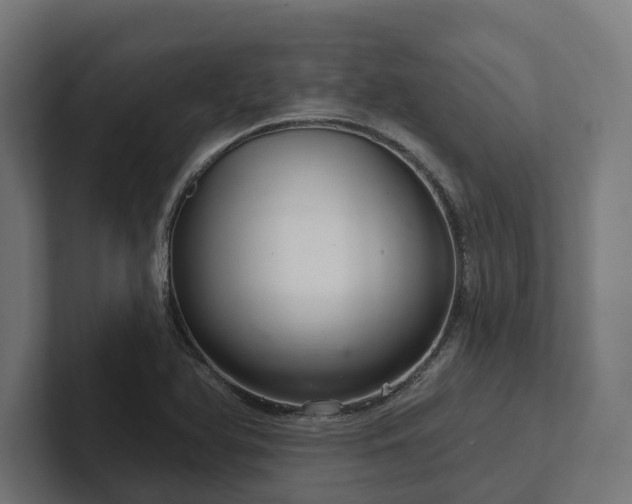 X0000102401366200808011538