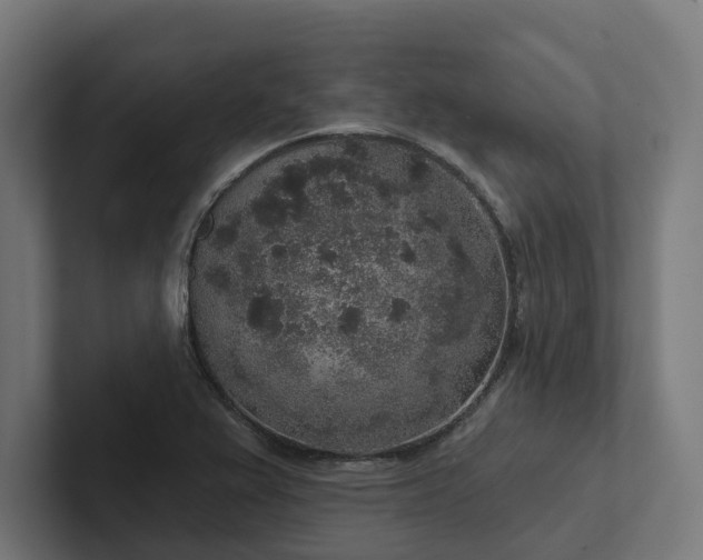 X0000102401367200808011538