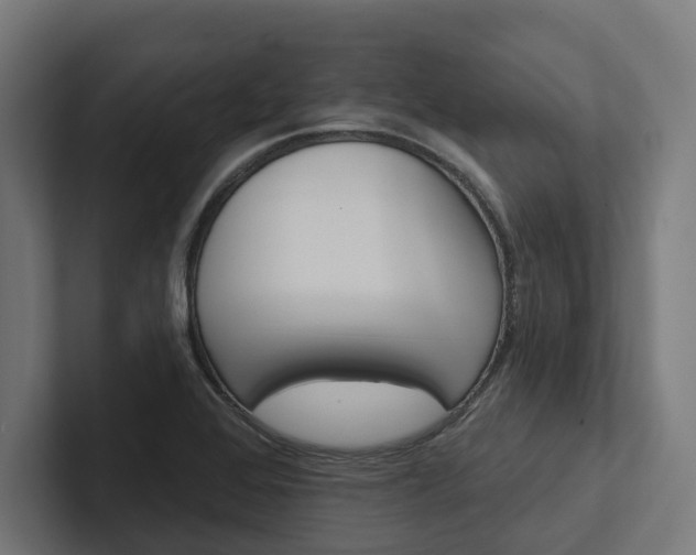 X0000102401368200808011538