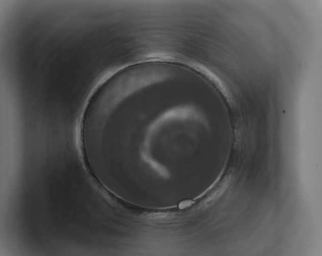 X0000102401373200808011538