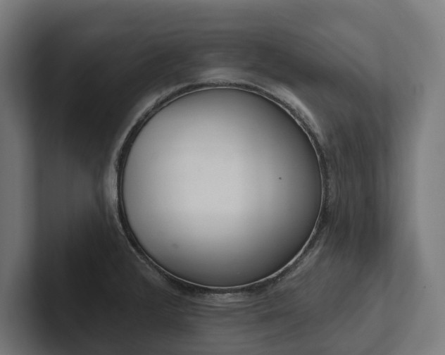 X0000102401376200808011538