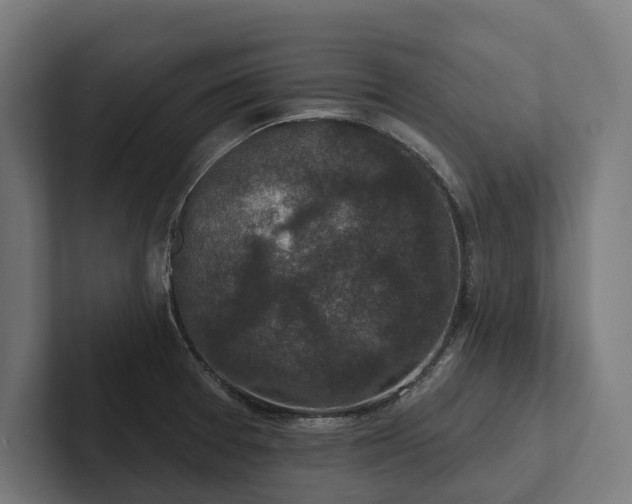 X0000102401377200808011538