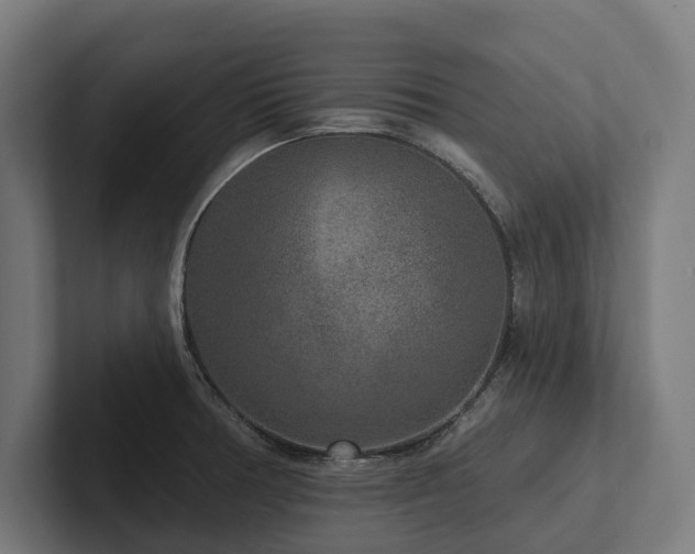 X0000102401378200808011538