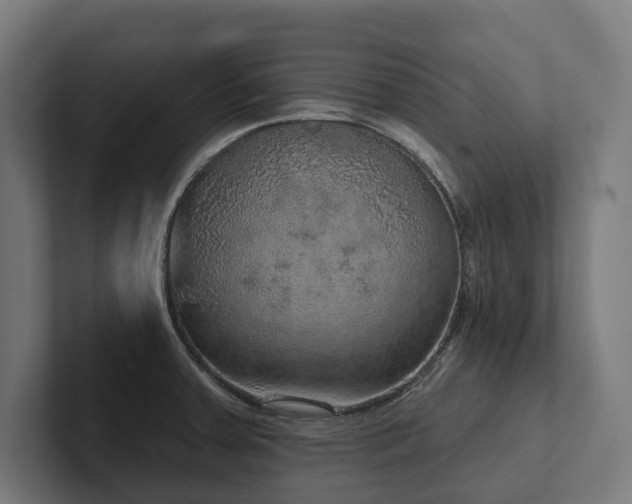 X0000102401379200808011538