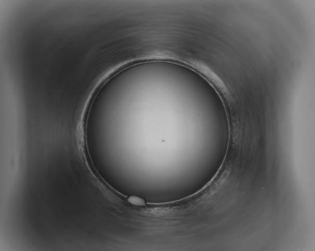 X0000102401380200808011538