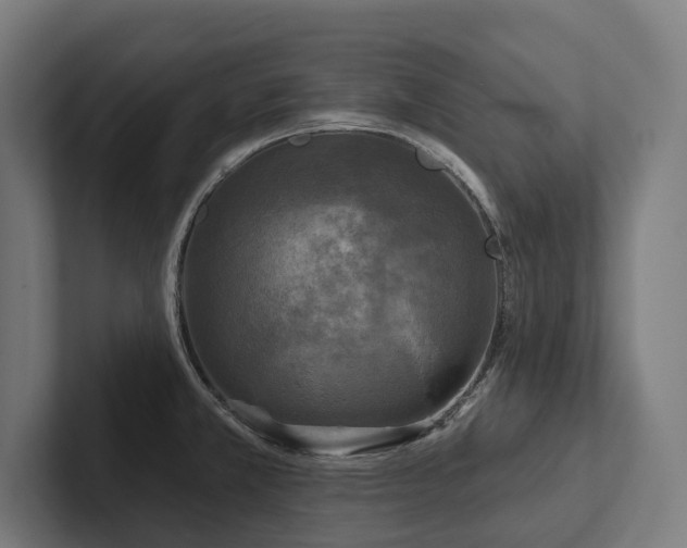X0000102401381200808011538