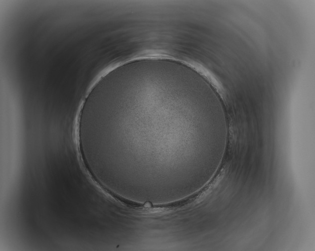 X0000102401382200808011538