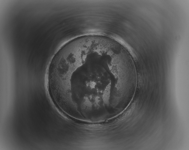 X0000102401383200808011538
