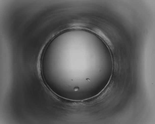 X0000102401384200808011538